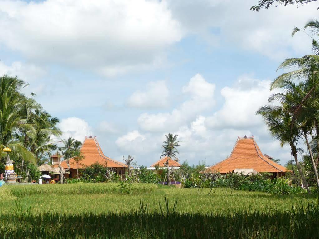 Umajati Retreat Villa Ubud Exteriör bild
