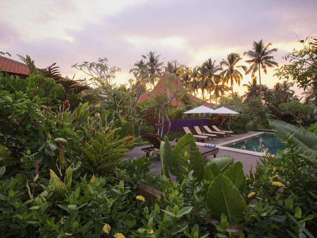 Umajati Retreat Villa Ubud Exteriör bild
